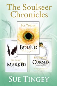 The Soulseer Chronicles