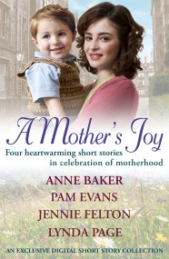 A Mother’s Joy: A Short Story Collection In Celebration Of Motherhood