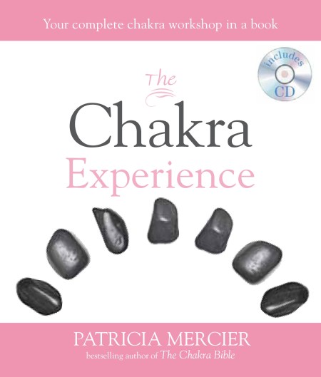 The Chakra Experience