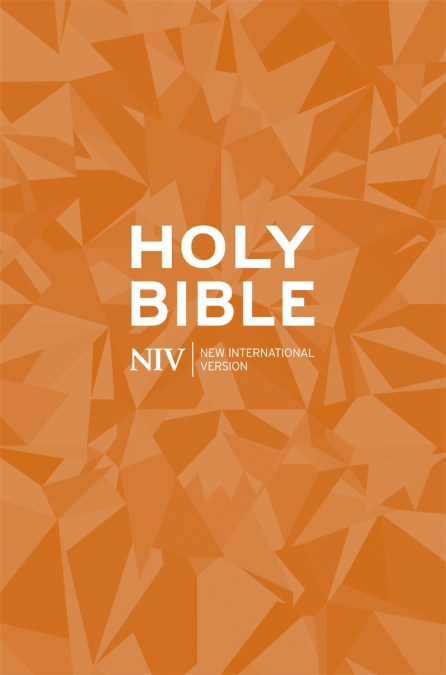 NIV Popular Paperback Bible