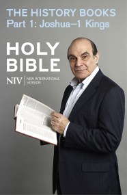 NIV Bible: the History Books – Part 1