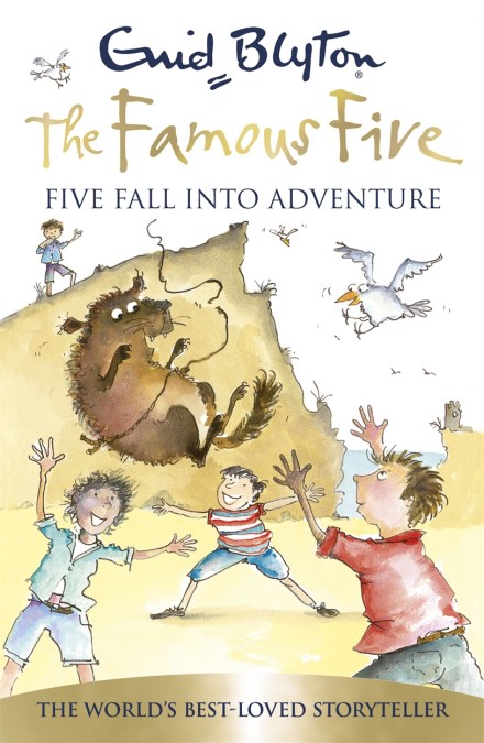 Famous Five: Five Fall Into Adventure