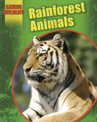 Saving Wildlife: Rainforest Animals