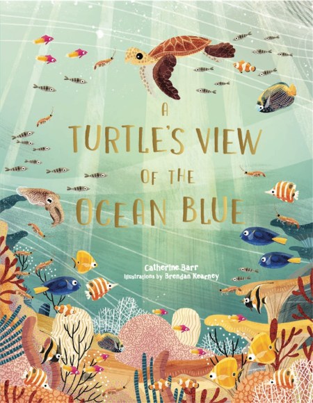 A Turtle's View of the Ocean Blue