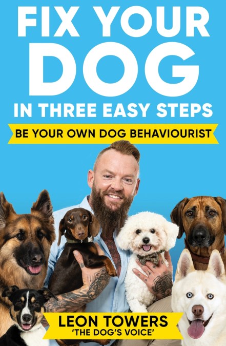 Fix Your Dog in Three Easy Steps