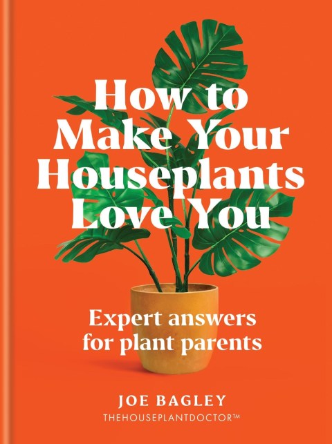 How to Make Your Houseplants Love You