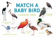 Match a Baby Bird